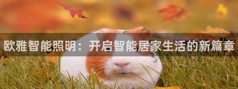 云顶国际app官方网站