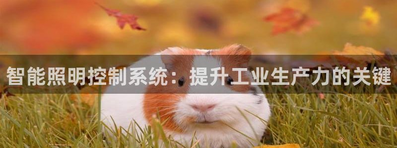 云顶的网址是多少