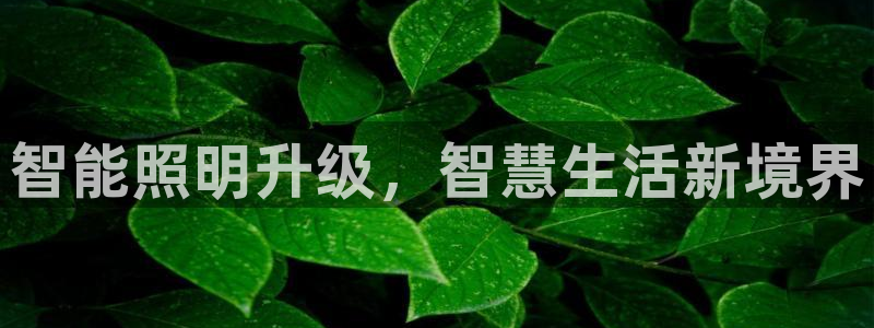 云顶国际公馆产权年限