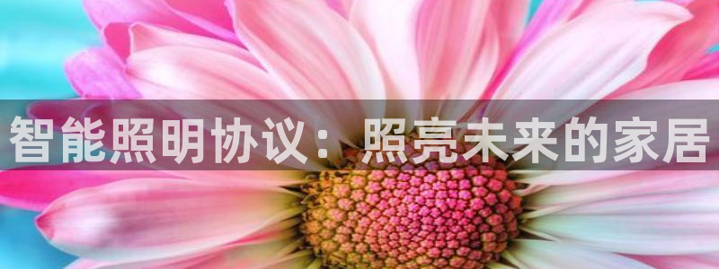 云顶国际KTV会所