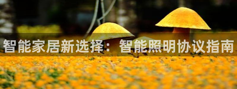 云顶国际77026
