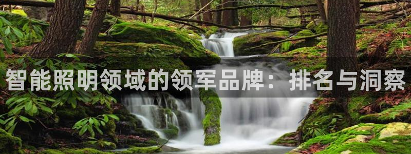 云顶集团下载