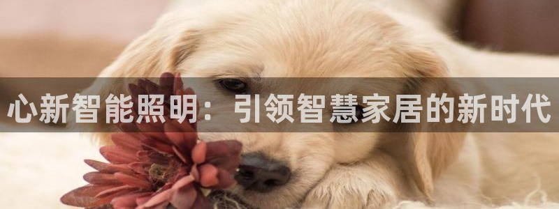 云顶电竞app怎么样
