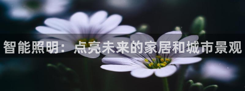 云顶国际app官方网站下载