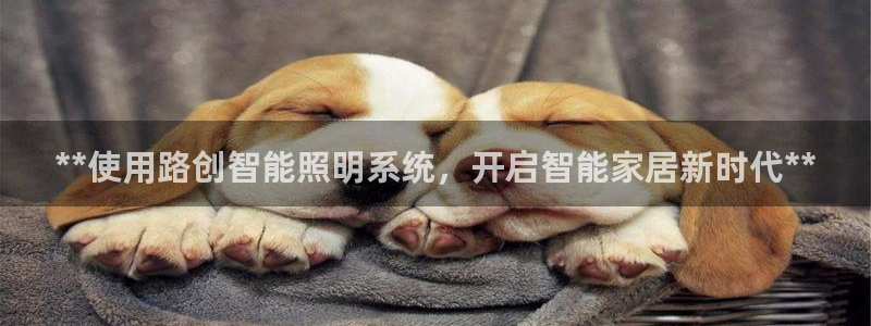 云顶国际手机app下载