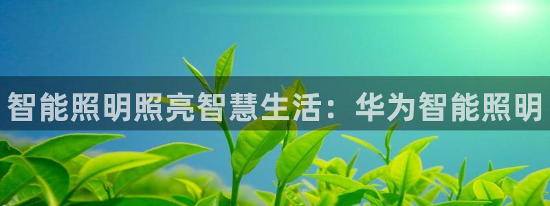 云顶国际app官网下载安装