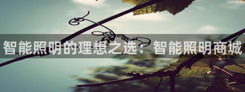 云顶集团有限公司简介地址