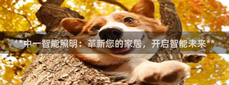 云顶国际酒店位置地图