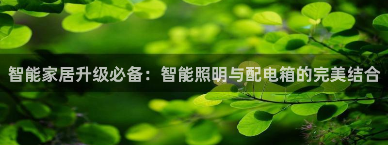 云顶国际8588yd