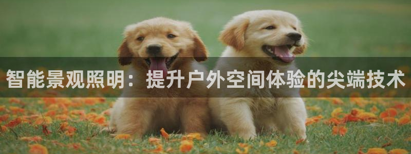 太原云顶国际酒店很吓人