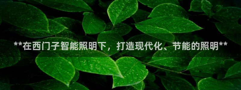 云顶平台网址