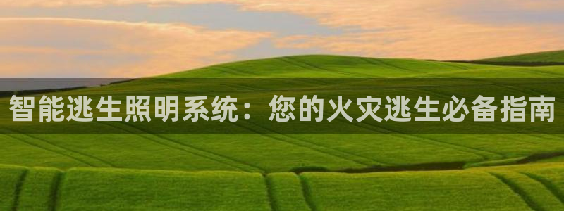 云顶路线图