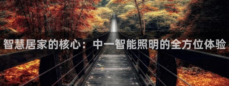 云顶电子游戏平台