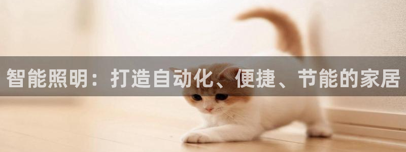 云顶国际集团发展有限公司