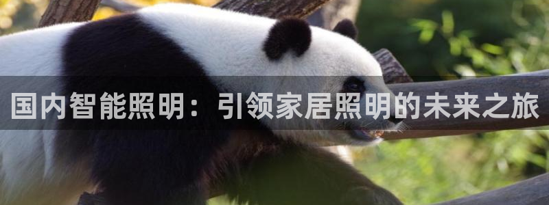 云顶集团老总子女