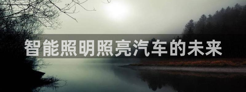云顶小学国际班学费