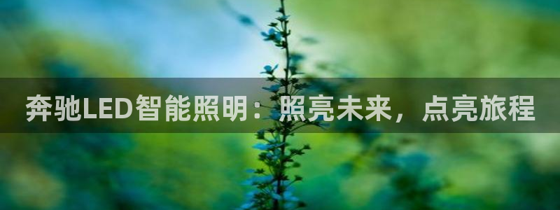 云顶国际app官方网站