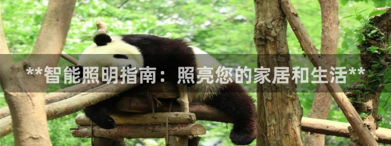 云顶国际培训中心
