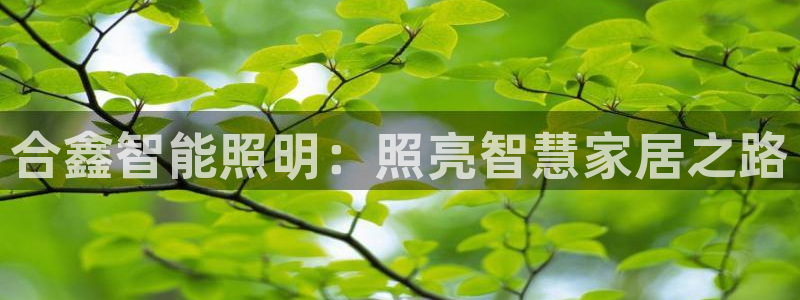 云顶国际注册送25