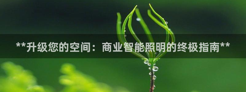 云顶国际测试服免费领取