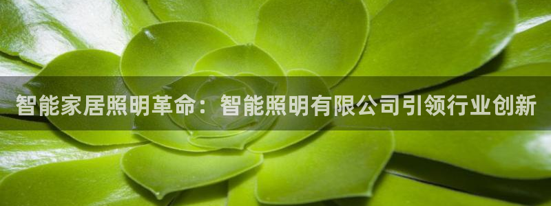 云顶集团 中国排名第几