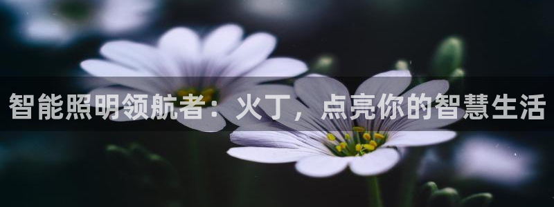 云顶电玩城游戏官网