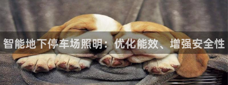 云顶国际服名字不可用