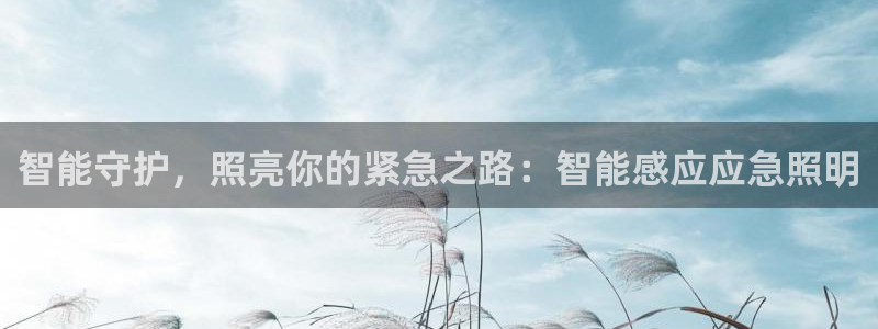 登录云顶集团
