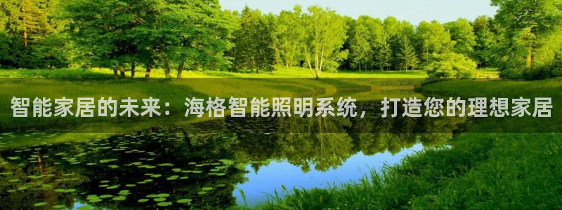 云顶国际软件