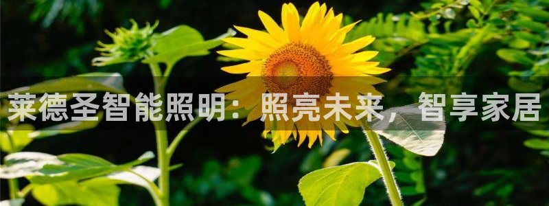 云顶国际公馆是公寓吗还是住宅
