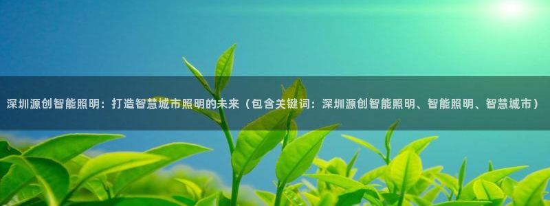 云顶国际商业广场可以充电动车吗