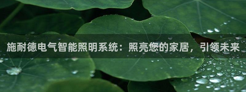 云顶国际服什么时候更新s115