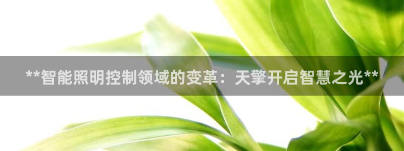 云顶yy