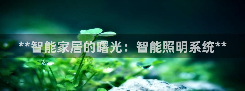 云顶国际唯一官方网站是哪个