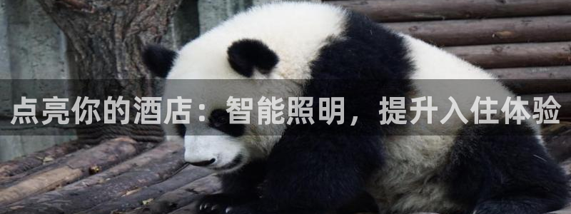 云顶国际大厦地址