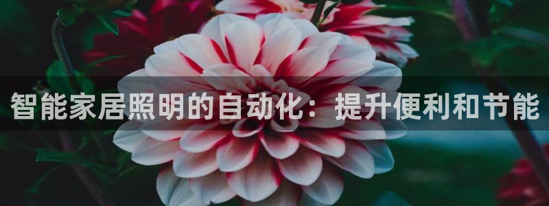 云顶国际怎么样