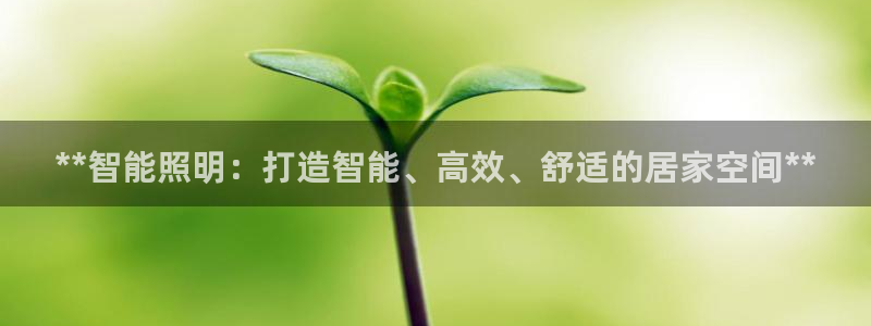 yd2333云顶电子游戏