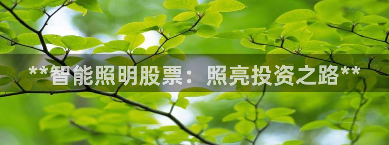 云顶集团游戏app8800