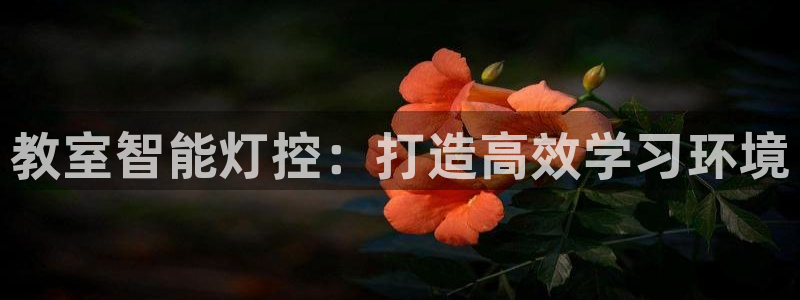 云顶国际官网app下载苹果