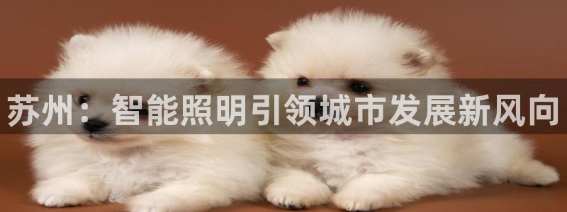云顶国际app怎么样