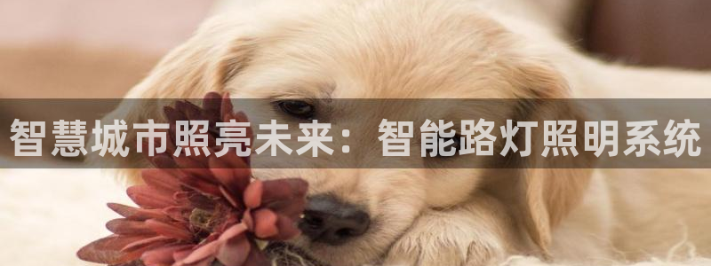云顶国际大酒店位于