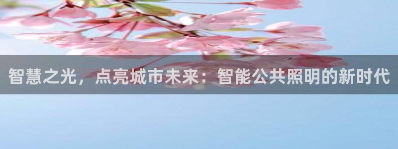 云顶新网站