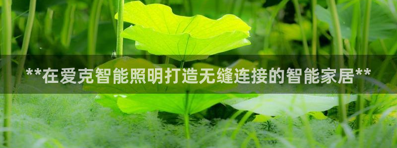 上海云顶国际商业广场