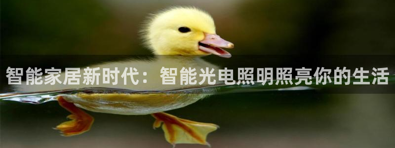 云顶国际商业广场a座101层