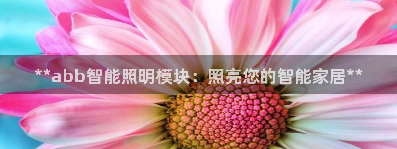 云顶集团 中国