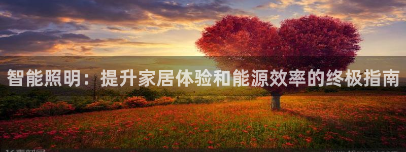 云顶国际集团游戏app