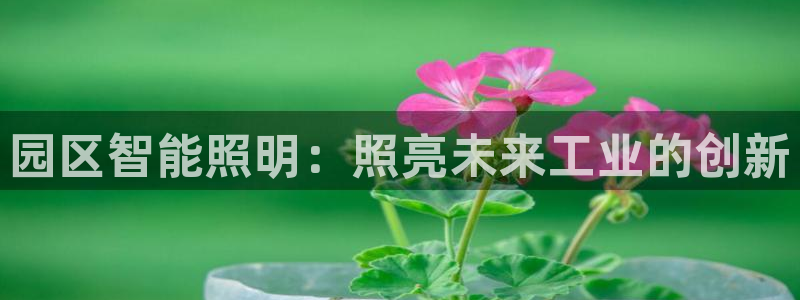 云顶国际平台违法吗?