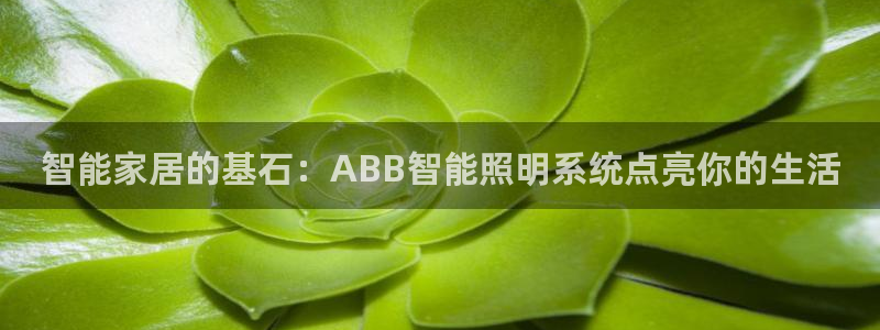 云顶国际装饰设计公司