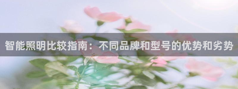 云顶国际服s6