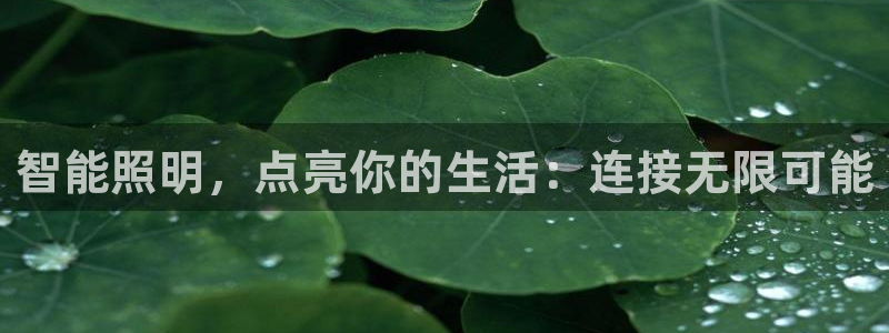 云顶官网·com